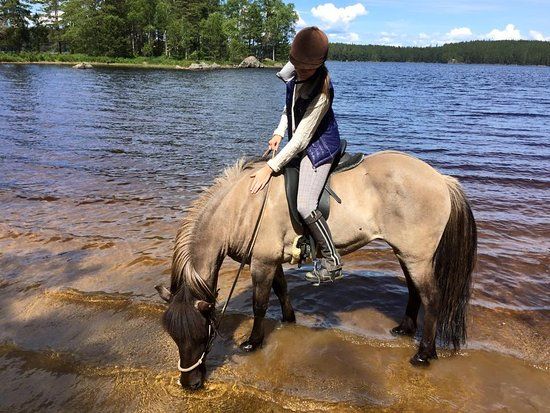 Trailriding in Tiveden