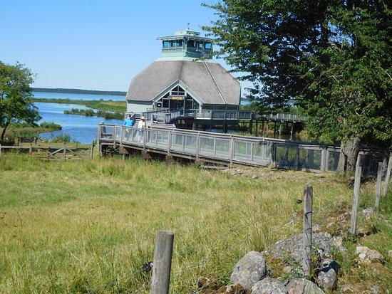 Naturum Hornborgasjön