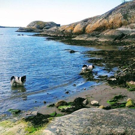 Rörö naturreservat