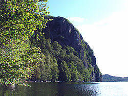 Börs flåg
