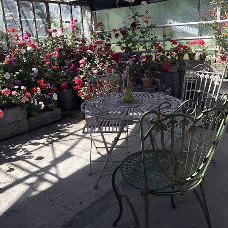 Pelargonmuseum