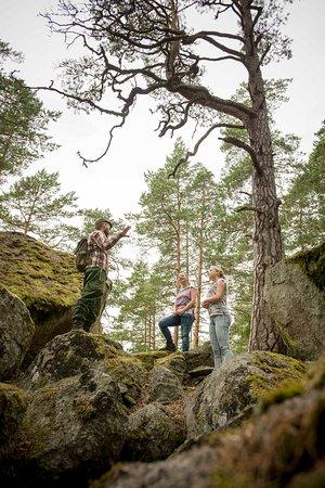 Tivedens nationalpark