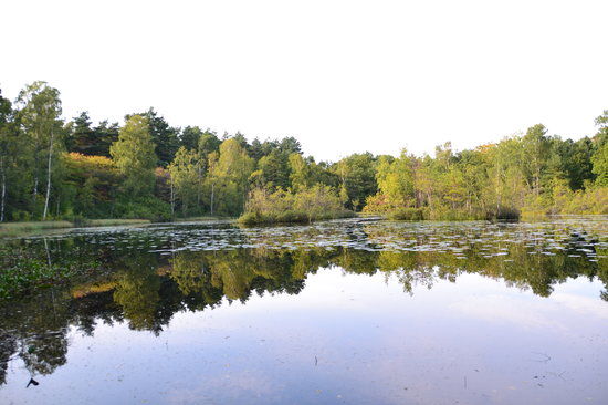 Änggårdsbergens Naturreservat