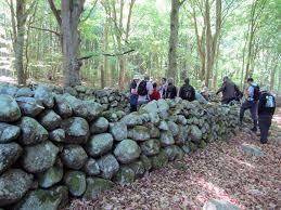 Sillnäs naturreservat